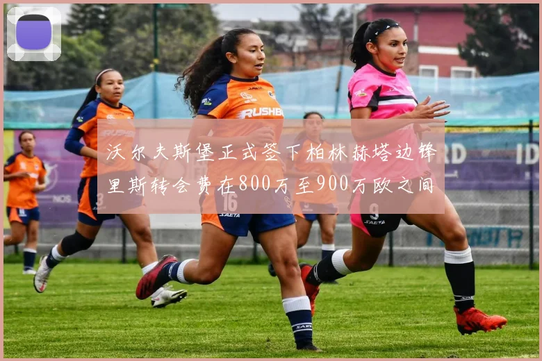 沃尔夫斯堡正式签下柏林赫塔边锋里斯转会费在800万至900万欧之间